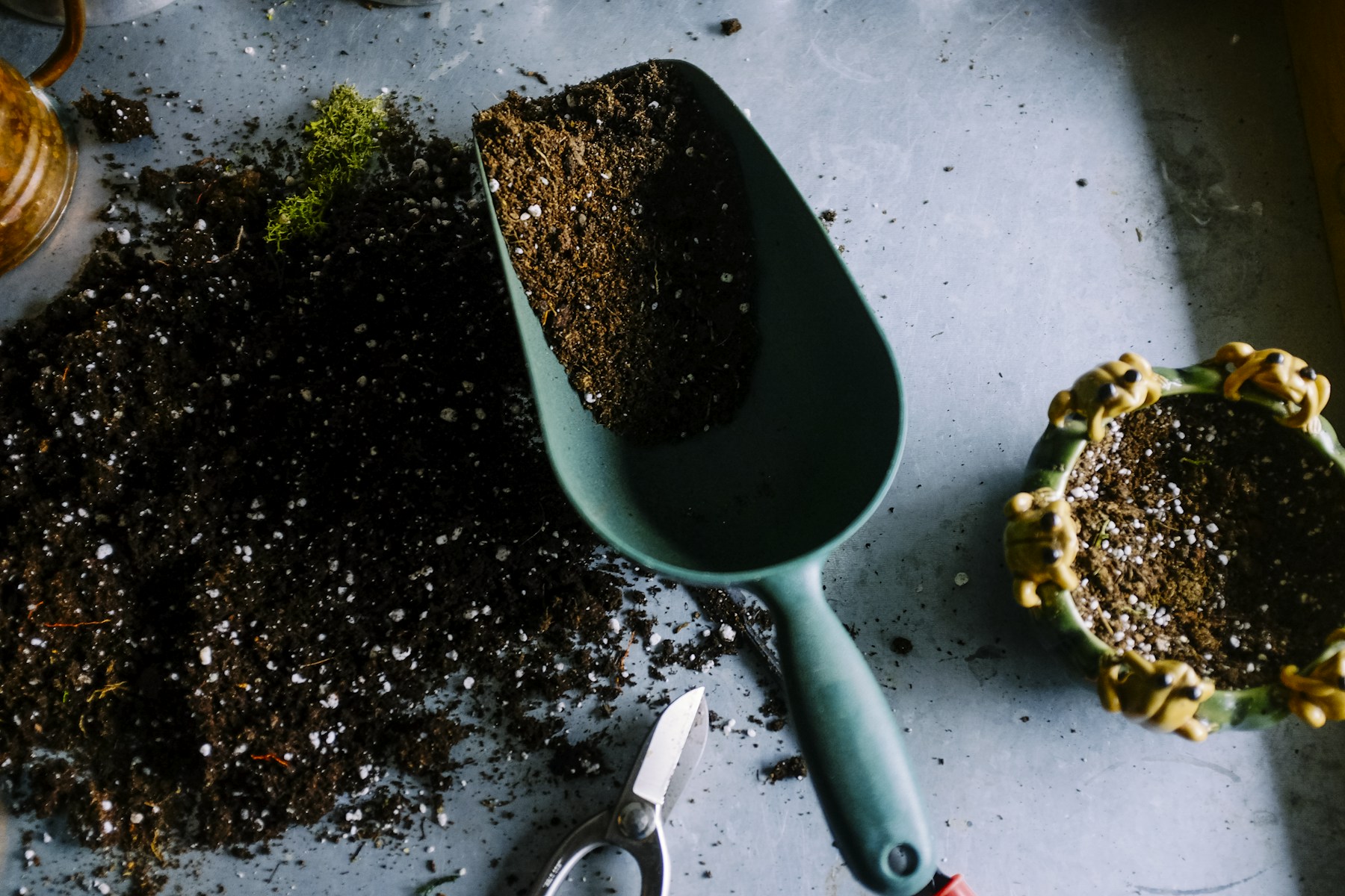 Outils de jardinage et terre pour les plantations