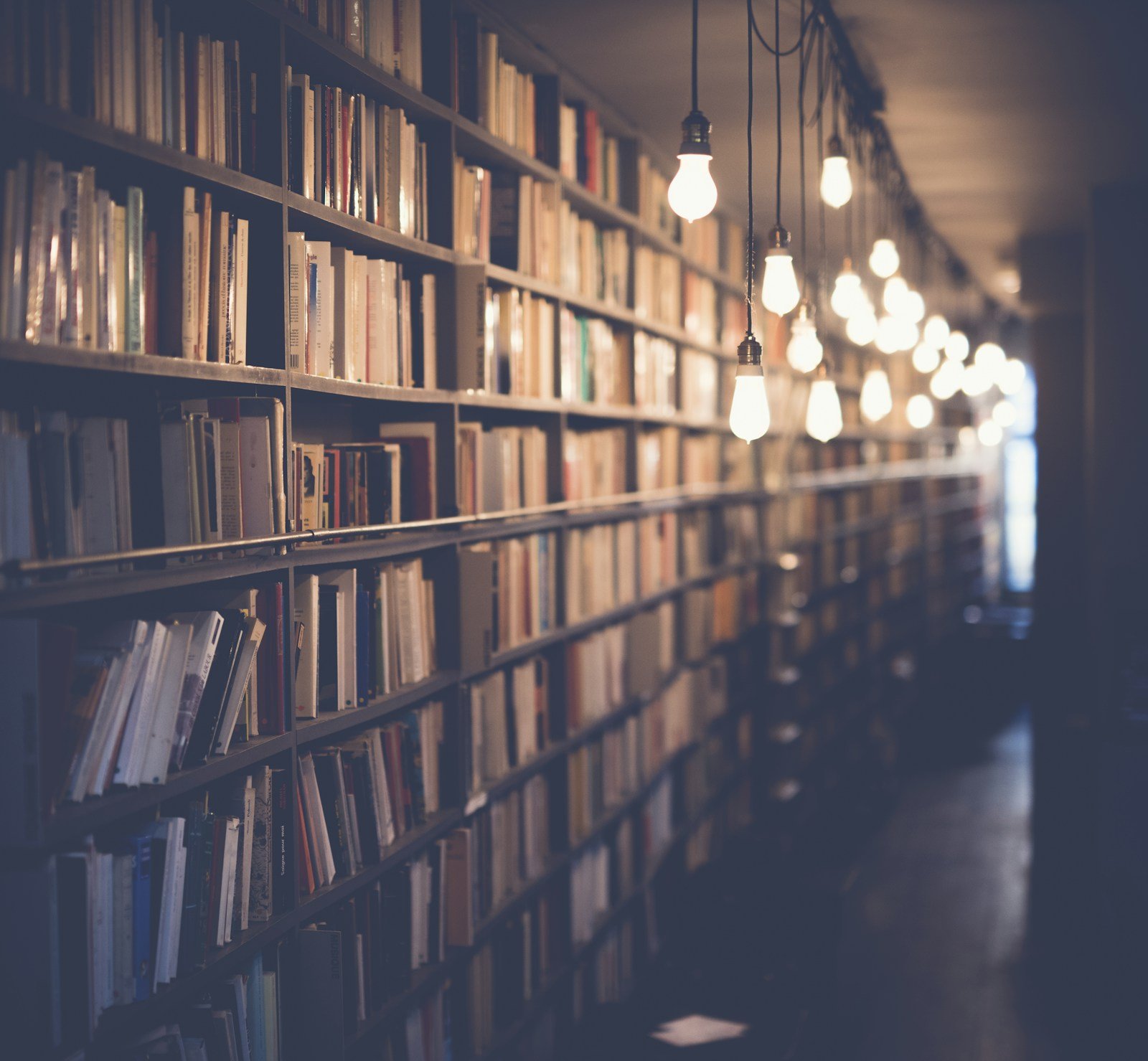 Rayonnages de livres dans une bibliothèque