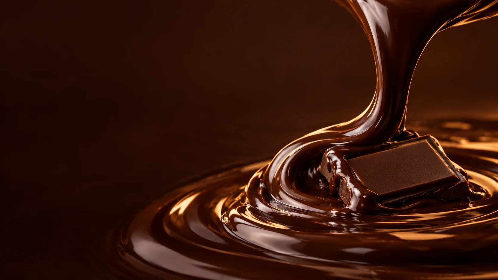 NOIR CACAO — aperçu de son univers