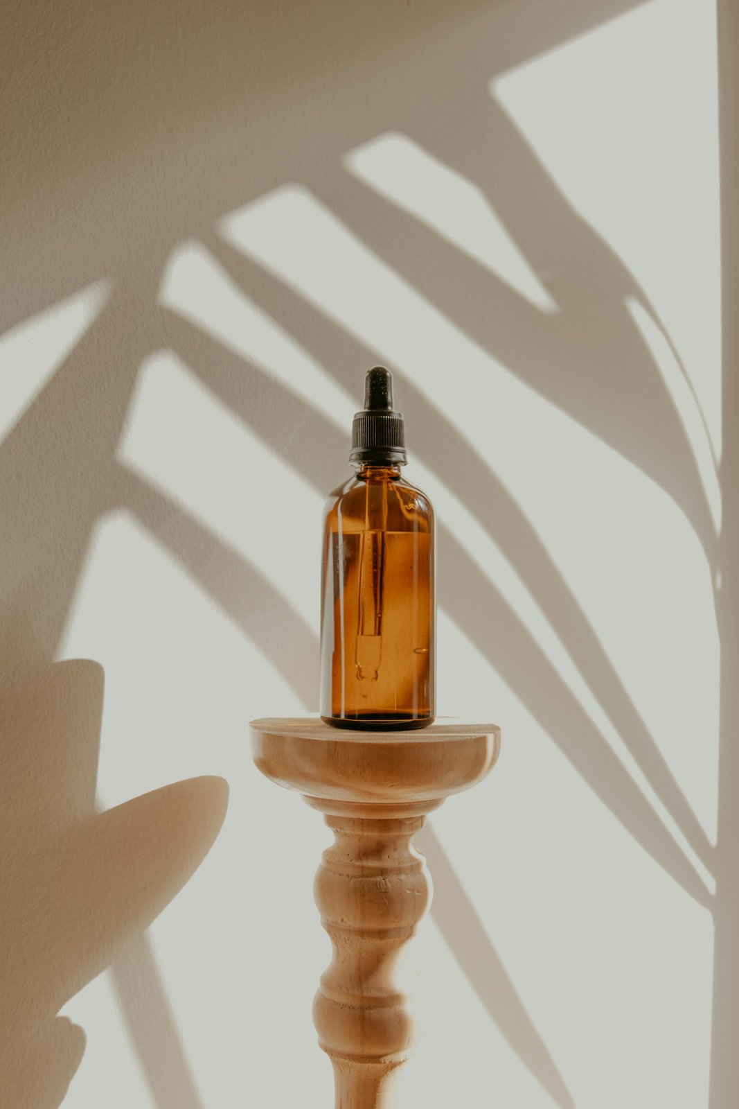 HERBIER — aperçu de son univers